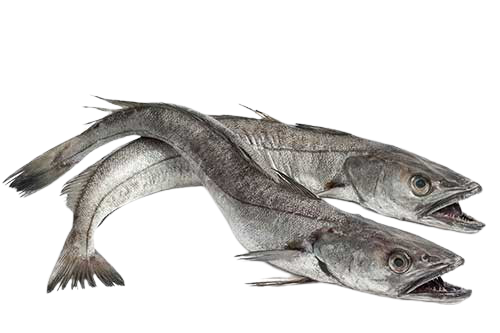 Stock Fish (Panla Fish)